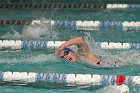 Swimming vs Babson  Wheaton College Swimming vs Babson College. - Photo By: KEITH NORDSTROM : Wheaton, Swimming, Babson